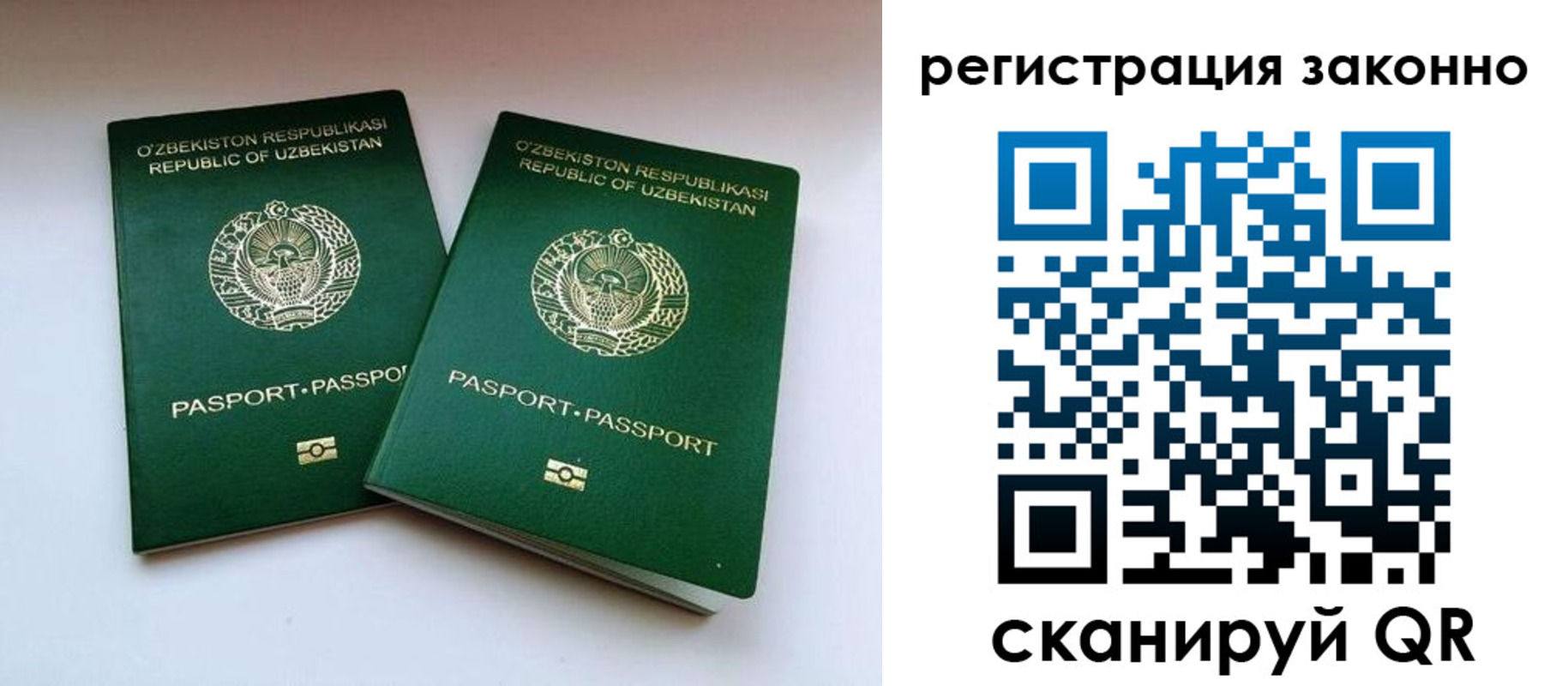прописка 2025 в Назрани